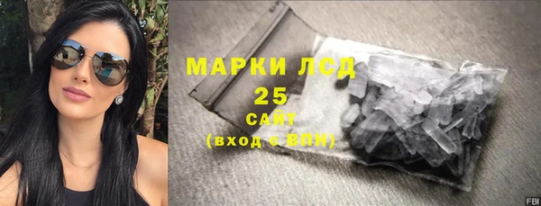 a pvp Ельня