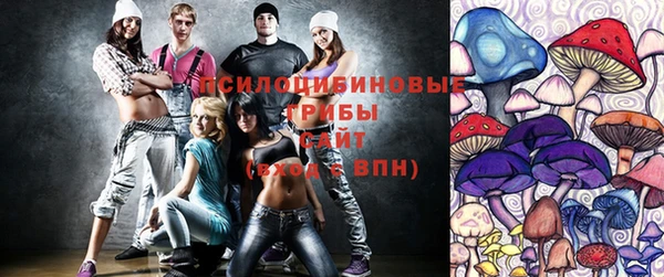 a pvp Ельня