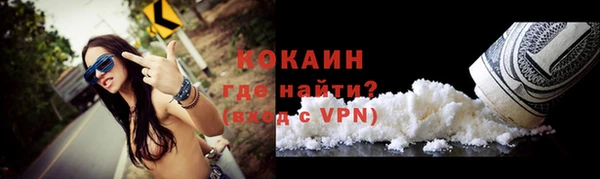 a pvp Ельня