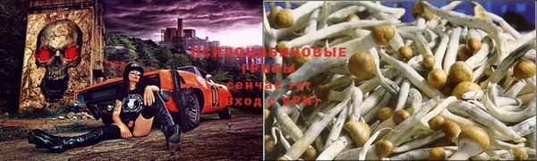 первитин Елизово
