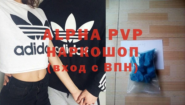 a pvp Ельня