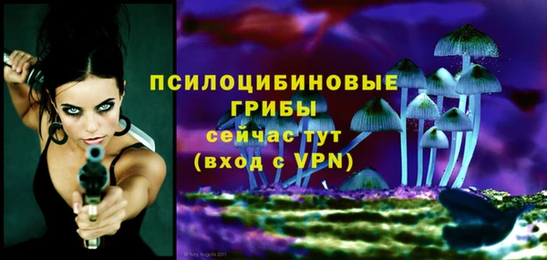 первитин Заволжье