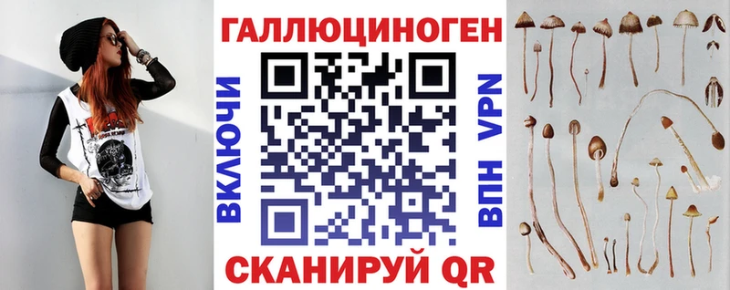 Купить где  Кудрово  Псилоцибиновые грибы GOLDEN TEACHER 